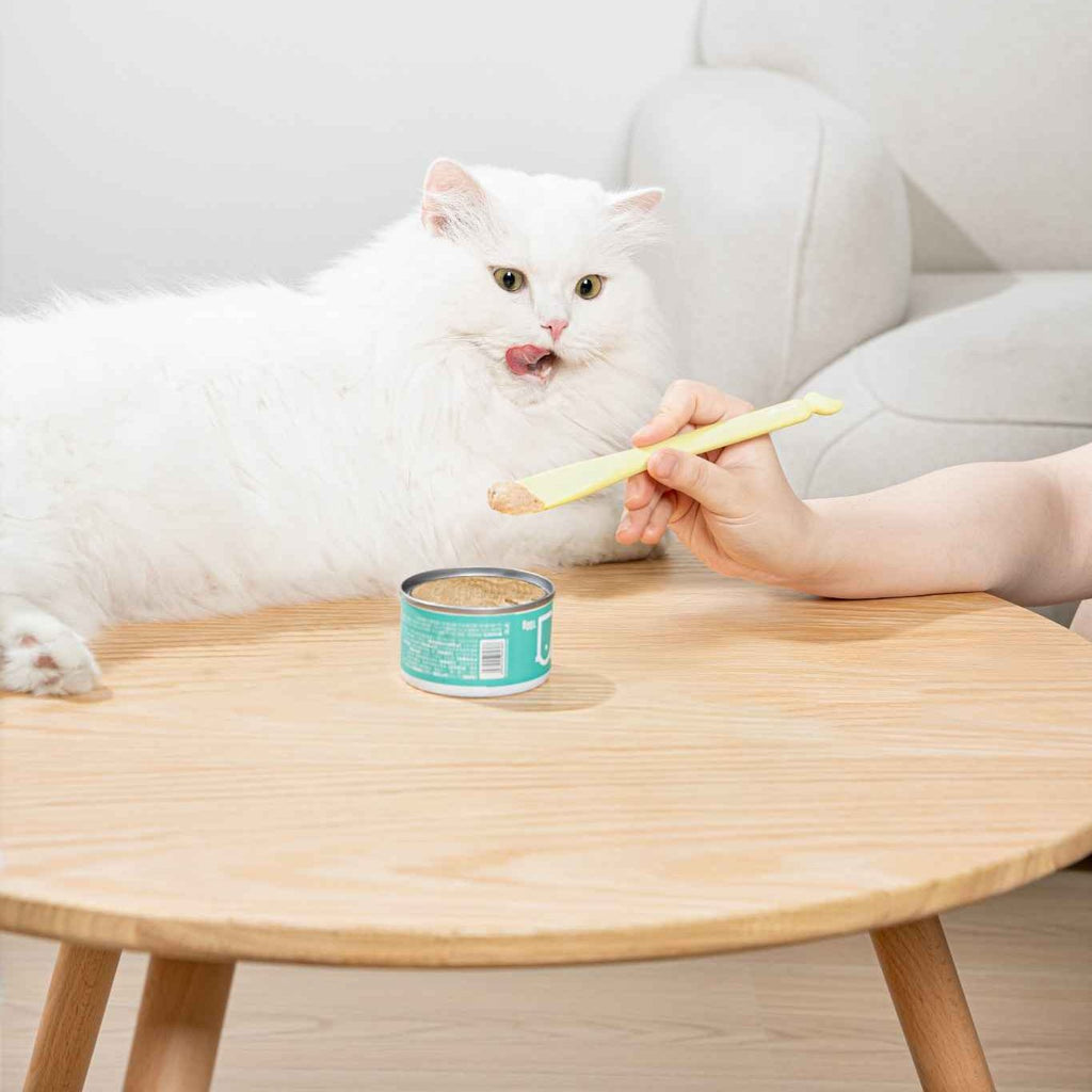 Can Food Spoon - MangoPets