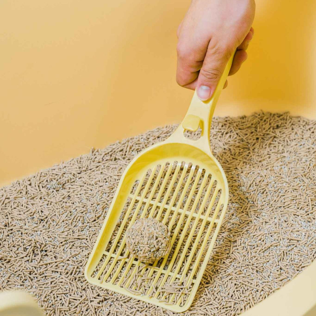 Cat Litter Scoop - MangoPets